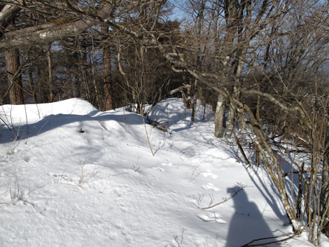 20180209hike (162)